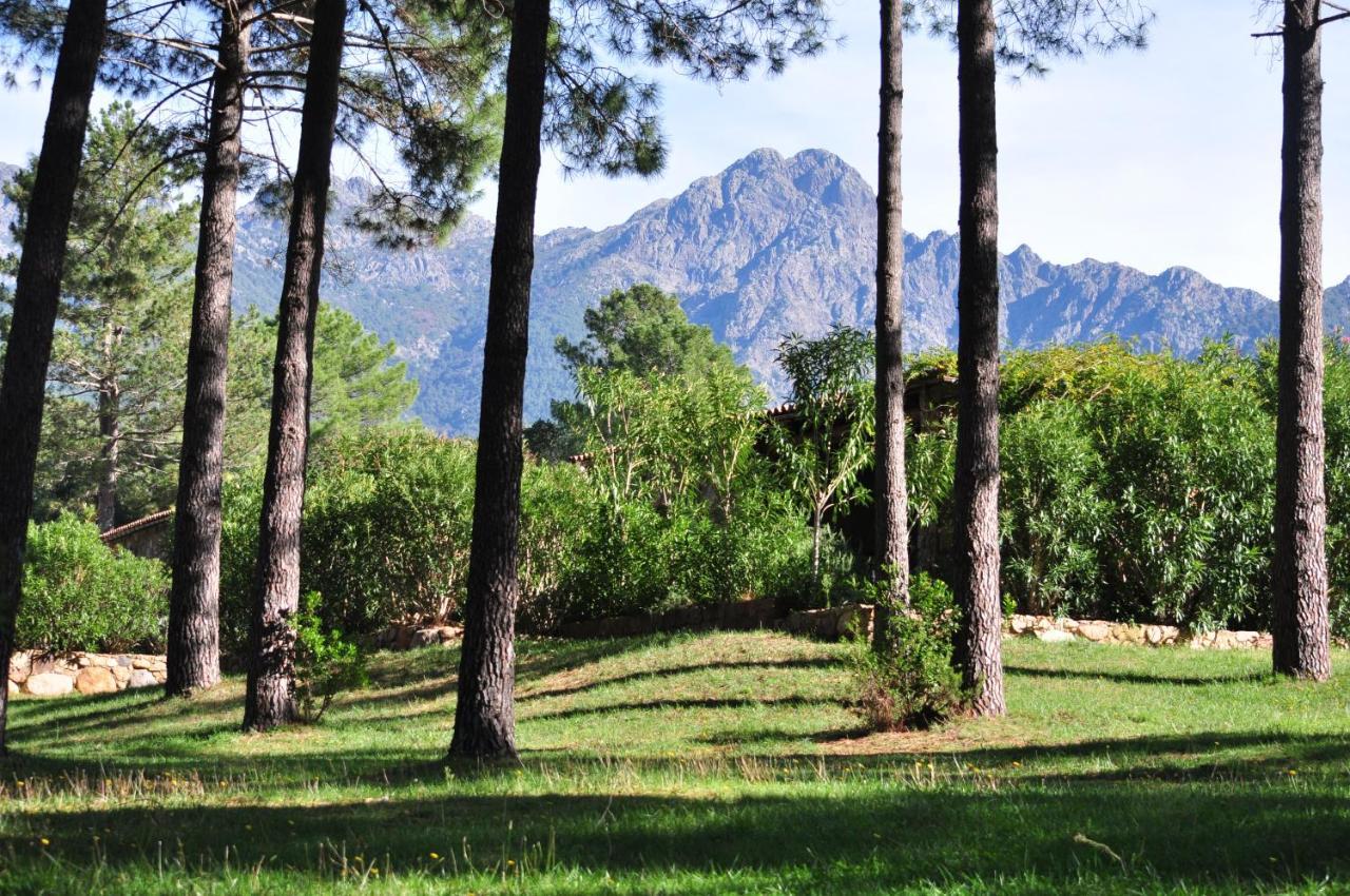 Domaine Codaleone Serriera Kültér fotó