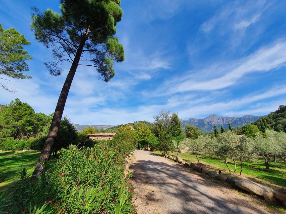Domaine Codaleone Serriera Kültér fotó