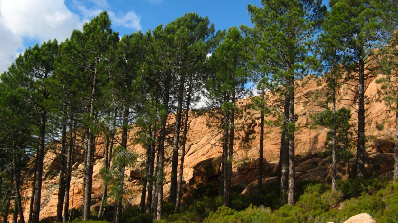 Domaine Codaleone Serriera Kültér fotó